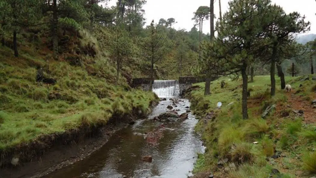 Conoce el Parque Nacional Cumbres del Ajusco y sus zonas