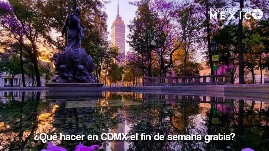 ¿Qué visitar en Ciudad de México en 4 días?