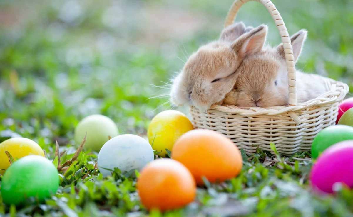 Huevos de Pascua descubre su origen y el significado de esta celebracion