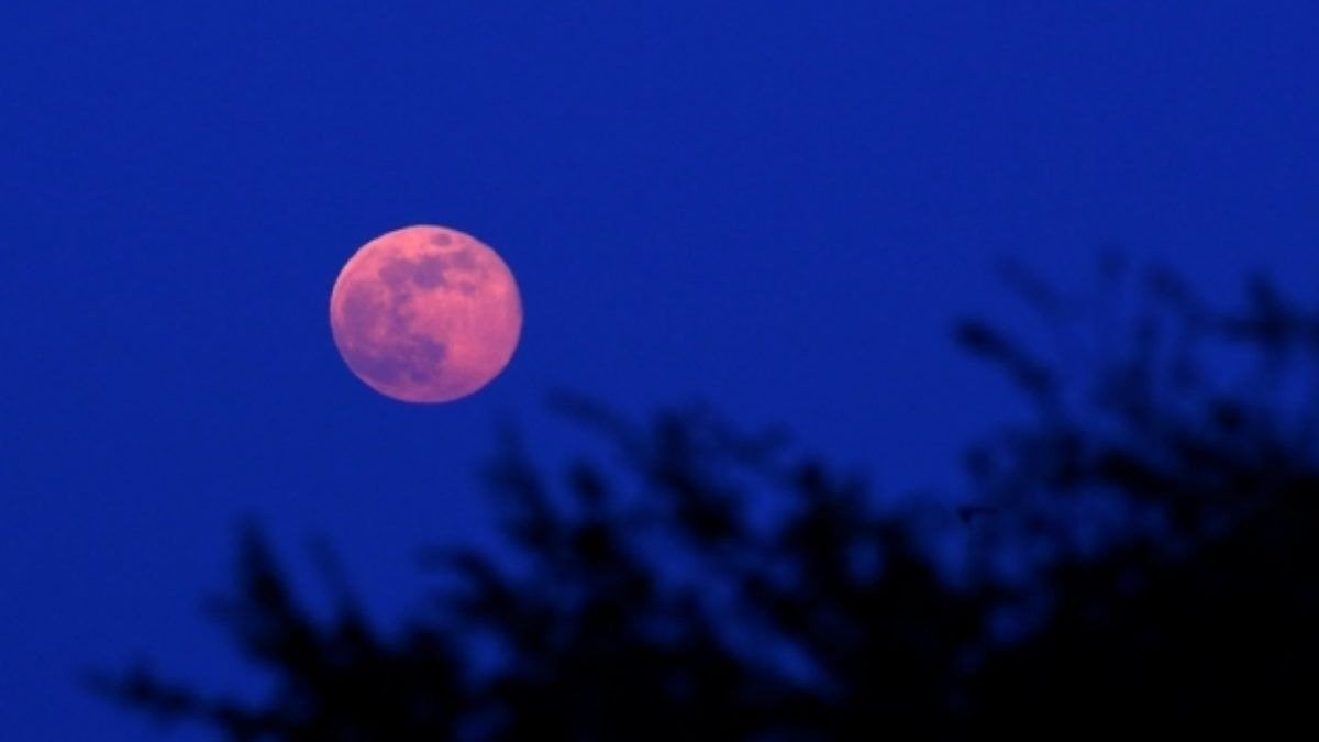 Los días 7 y 8 de abril tendrá lugar la superluna rosa, un fenómeno astronómico que sucede cuando la primera gran Luna de la primavera se ubica a la distancia más próxima de la Tierra. Aquí te explicamos más de este espectáculo natural.