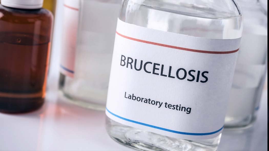 Un nuevo foco de alerta se ha encendido en el noroeste de China, luego de que diez mil personas dieron positivo por brucelosis, una enfermedad bacteriana, según revelaron las mismas autoridades de la entidad de Lanzhou.