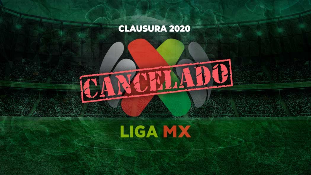 2020 El árbol Ya Fue Plantado 2020 El árbol Ya Fue Plantado