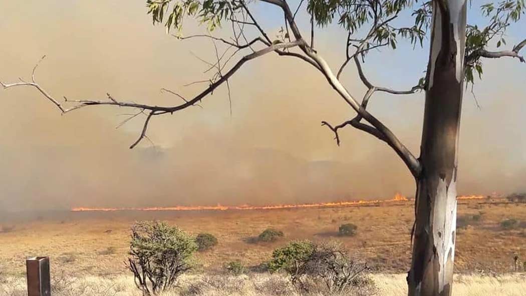 Pepe Aguilar un incendio devoró su rancho, Natanael Cano es señalado