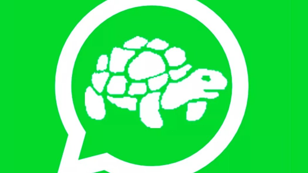 WhatsApp Messenger es una aplicación de mensajería instantánea para teléfonos inteligentes, en la que se envían y reciben mensajes mediante Internet, así como imágenes, vídeos, audios, grabaciones de audio ,documentos, ubicaciones, contactos, gifs, así como llamadas y videollamadas con varios participantes a la vez, entre otras funciones. WhatsApp Messenger es una aplicación de mensajería instantánea para teléfonos inteligentes, en la que se envían y reciben mensajes mediante Internet, así como imágenes, vídeos, audios, grabaciones de audio ,documentos, ubicaciones, contactos, gifs, así como llamadas y videollamadas con varios participantes a la vez, entre otras funciones.