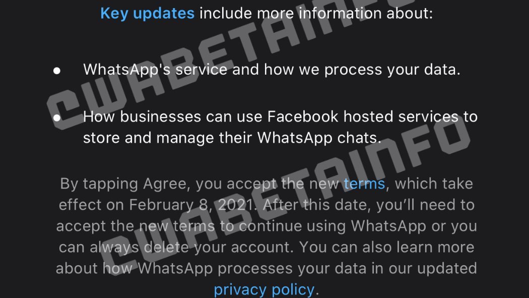 WhatsApp tiene nuevos términos y condiciones estos traen anuncios 02
