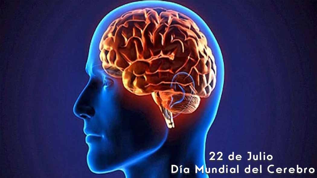 Hoy, 22 de julio, se conmemora el Día Mundial del Cerebro, una fecha impulsada desde hace seis años por la World Federation of Neurology (WFN), que este año se dedica a concienciar sobre la enfermedad de Parkinson, con el objetivo de intentar mejorar la calidad de vida de las personas que padecen esta enfermedad neurológica, así como la de sus cuidadores. Hoy, 22 de julio, se conmemora el Día Mundial del Cerebro, una fecha impulsada desde hace seis años por la World Federation of Neurology (WFN), que este año se dedica a concienciar sobre la enfermedad de Parkinson, con el objetivo de intentar mejorar la calidad de vida de las personas que padecen esta enfermedad neurológica, así como la de sus cuidadores.