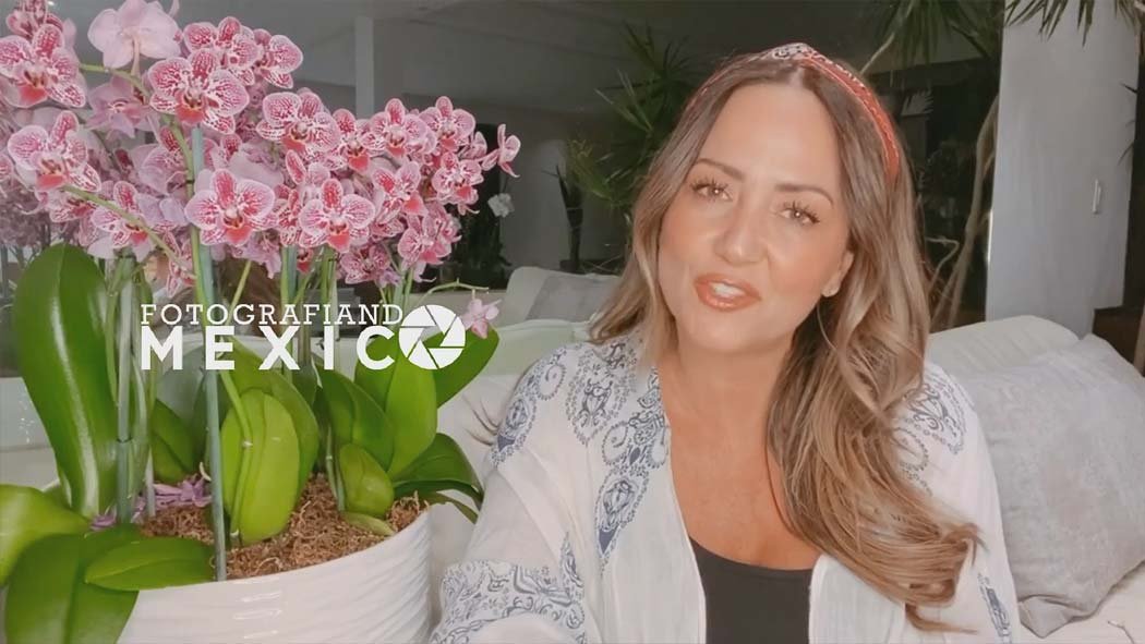 La conductora desmintió que la mujer anarquista que hace unos días vandalizó la Ciudad de México es su supuesta prima, pidió que la persona que inicio ese rumor desmienta lo que dijo. La conductora desmintió que la mujer anarquista que hace unos días vandalizó la Ciudad de México es su supuesta prima, pidió que la persona que inicio ese rumor desmienta lo que dijo.