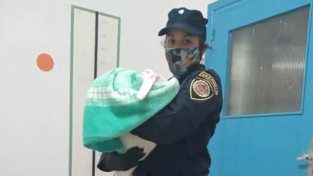 La venta, sin embargo, nunca llegó a concretarse tal cual habían convenido. Hoy, los tres adultos están detenidos, mientras que la bebé se encuentra resguardada por las autoridades de Córdoba. La causa, iniciada en Cañuelas, está a cargo del fiscal Lisandro Damonte.