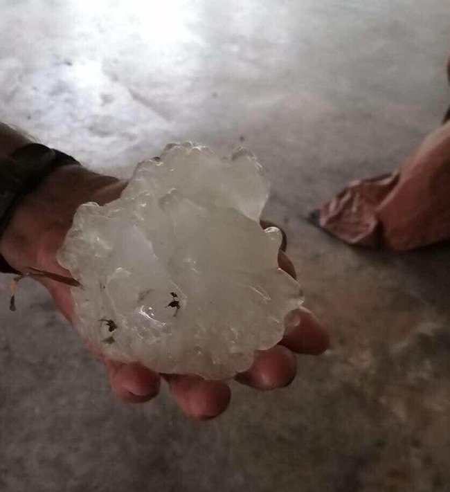 General Terán cae enorme granizo en comunidades