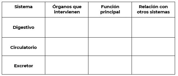 Aprende en Casa 2 actividades para 3 tercero de primaria 8 de octubre