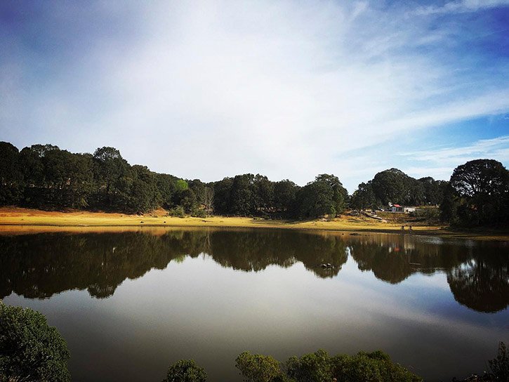 ¿Qué hacer en Pueblo Mágico Amealco de Bonfil? - Bosque Laguna de Servín