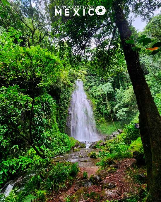 Qué hacer en el Pueblo Mágico Coatepec en Veracruz