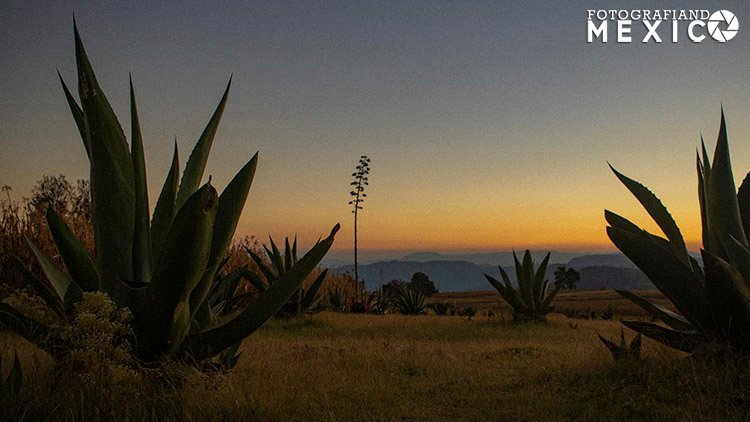 ¿Qué visitar en el Pueblo Mágico Malinalco en el Estado de México?