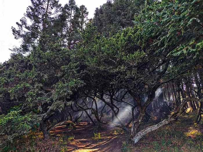 Atractivos del Pueblo Mágico Mineral del Chico en Hidalgo