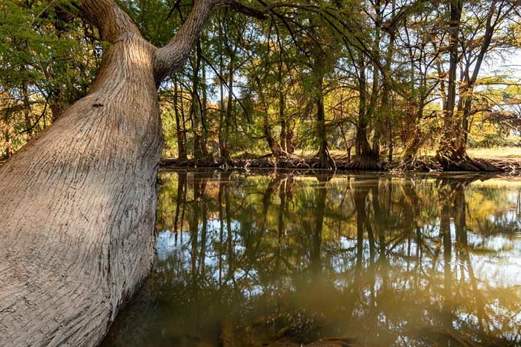 Los Salones en el Pueblo Mágico Nombre de Dios en Durango