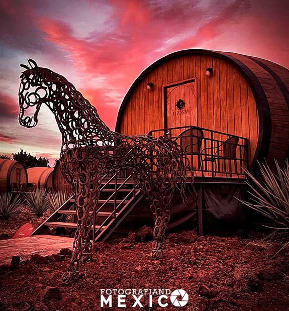 ¿Qué visitar en el Pueblo Mágico Tequila en Jalisco?