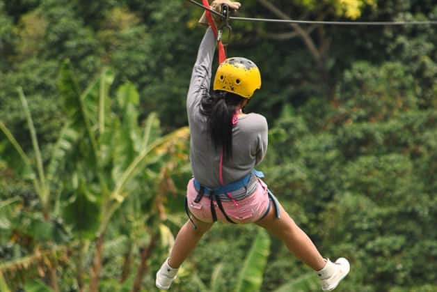 Canopy Cola de Caballo