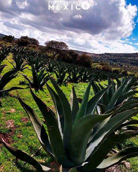 Qué hacer en el Pueblo Mágico Tlaxco en Tlaxcala