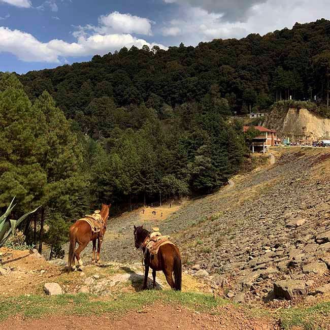 ¿Qué es lo mejor de Villa del Carbón?