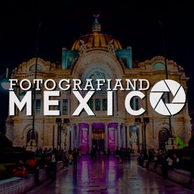 Imagen del contacto
