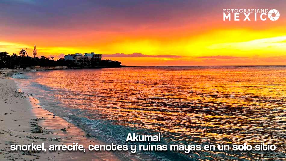 Akumal: snorkel, arrecife, cenotes y ruinas mayas en un solo sitio