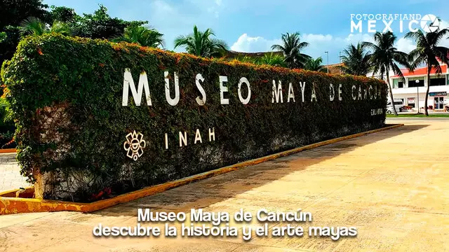 Museo Maya de Cancún: descubre la historia y el arte mayas