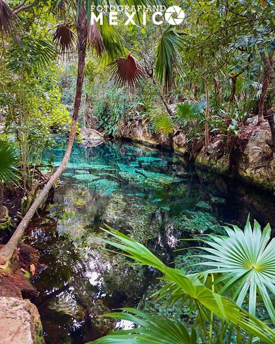 Cuál es el horario y el precio del Cenote Escondido en Tulum