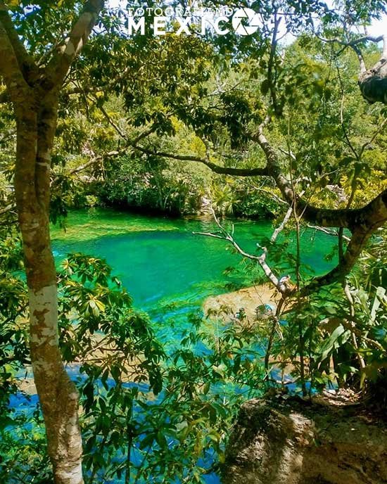Cuánto cuesta y cómo llegar al cenote Jardín del Edén