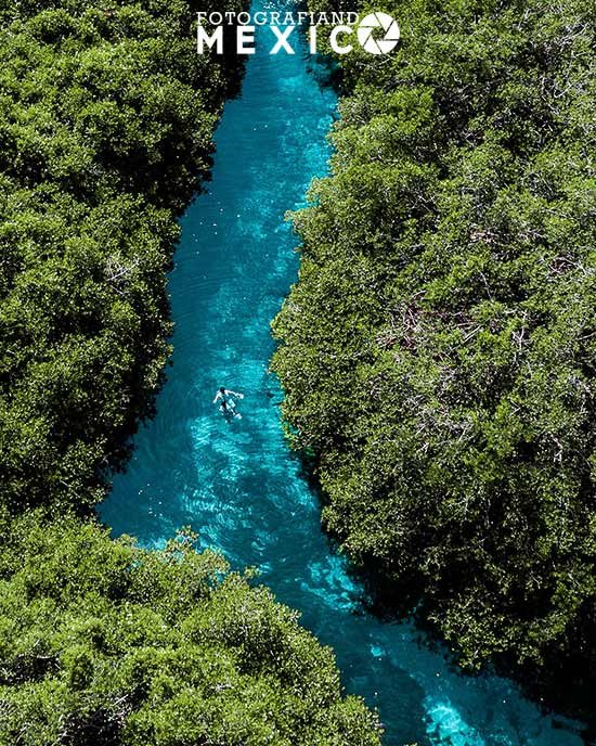 Qué hacer en Casa Cenote o Cenote Manatí