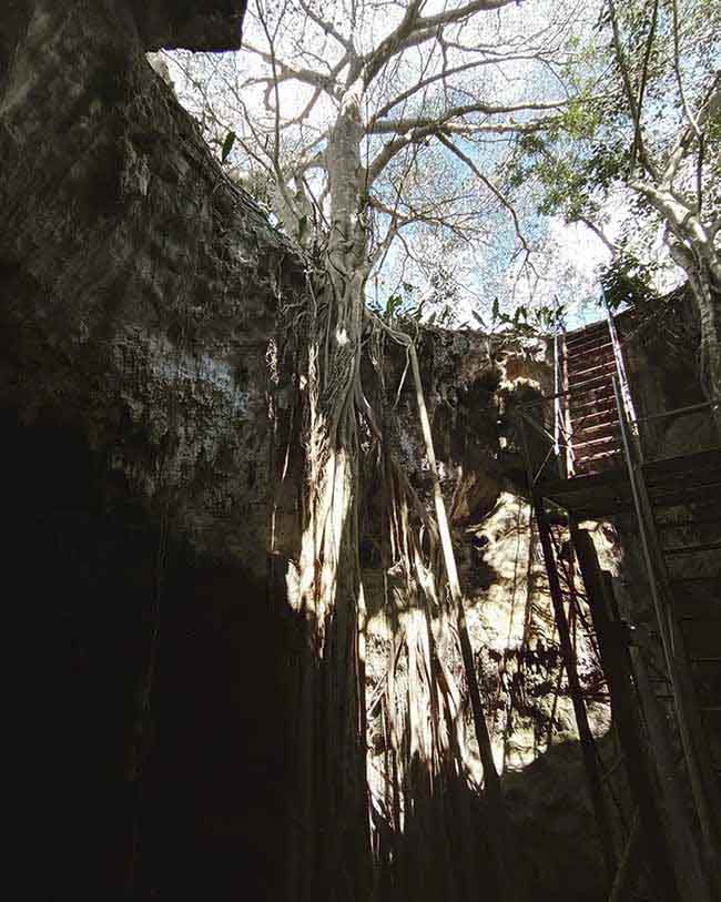Cenotes y Parador Turístico de X'tojil Yucatán, Guía de viaje