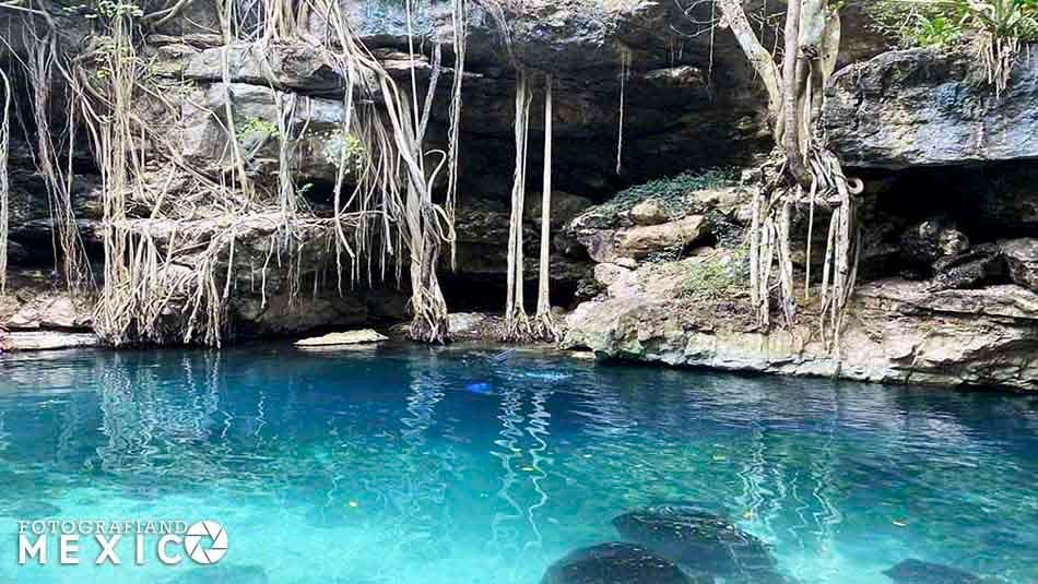 Cenote Xbatún en San Antonio Mulix Yucatán, costos, horario Cenote Xbatún en San Antonio Mulix Yucatán, costos, horario