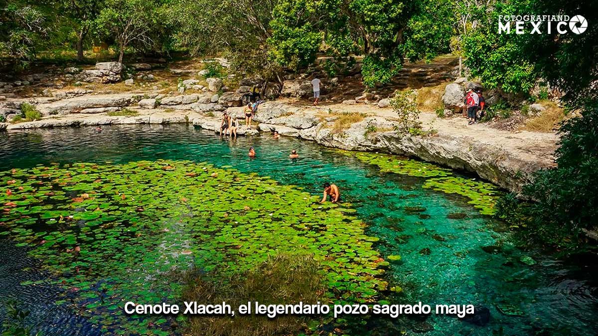 Personas nadando en las aguas cristalinas del Cenote Xlacah, rodeado de vegetación y lirios acuáticos en zona arqueológica.