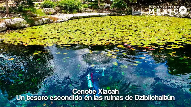 Cenote Xlacah guía de viaje Cenote Xlacah: precio, cómo llegar, qué hacer y su horario