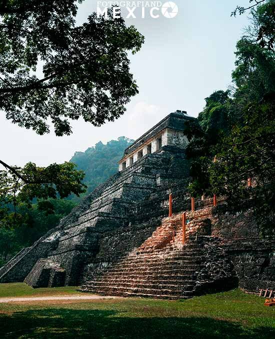 Qué se puede ver en Palenque