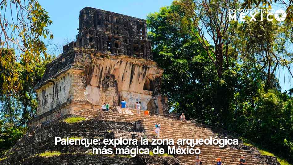 Palenque: explora la zona arqueológica más mágica de México
