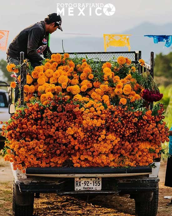 Artistas y artesanos en el Día de los Muertos