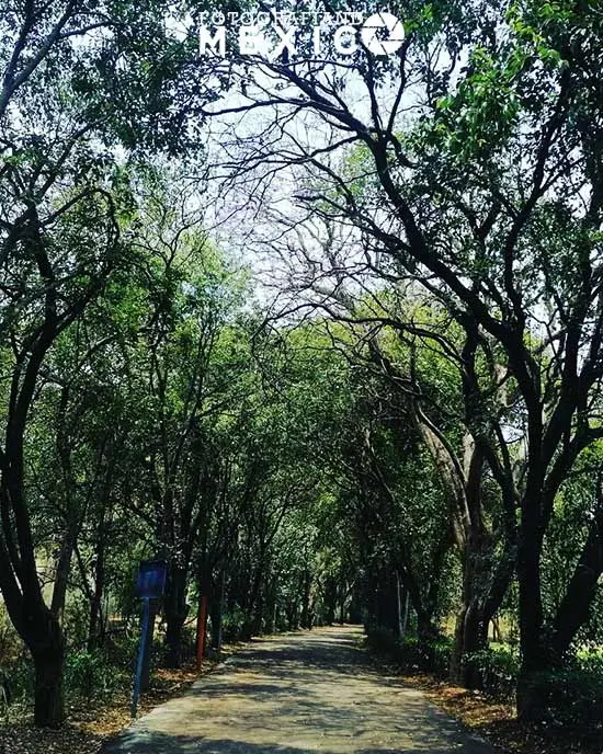 Qué horarios y precios tiene el Jardín Botánico del IBUNAM