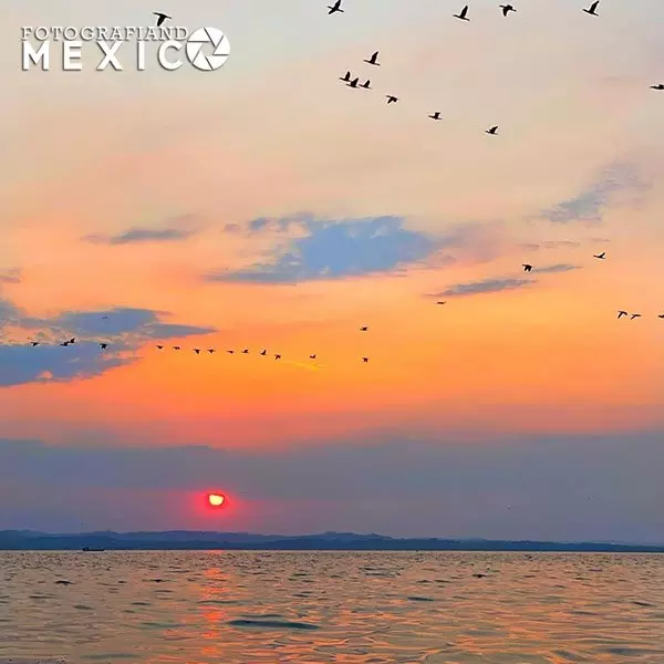 Fotografía de un sol rojo ocultándose en el horizonte sobre el agua de una laguna, con parvadas de aves volando en un cielo teñido de naranja.