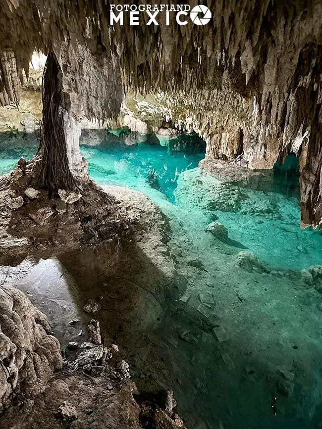 Vista del canal de agua cristalina azul turquesa en las cuevas subterráneas del Cenote Sac Actun en Tulum, Quintana Roo, con una gran raíz de árbol que baja del techo rodeada de formaciones de estalactitas.