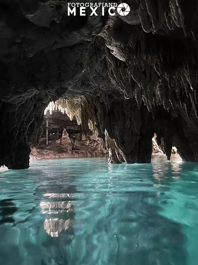 Vista vertical del agua turquesa cristalina en una caverna del Cenote Sac Actun en Tulum, donde destaca una gruesa raíz de árbol kárstica en primer plano y un techo tupido de estalactitas.