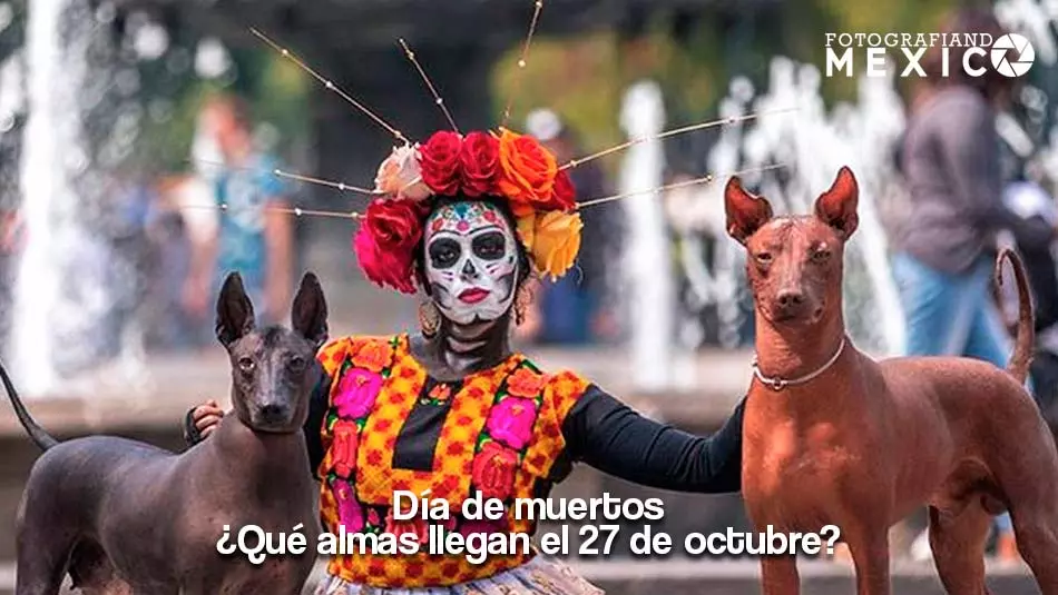 ¿Qué almas llegan el 27 de octubre?
