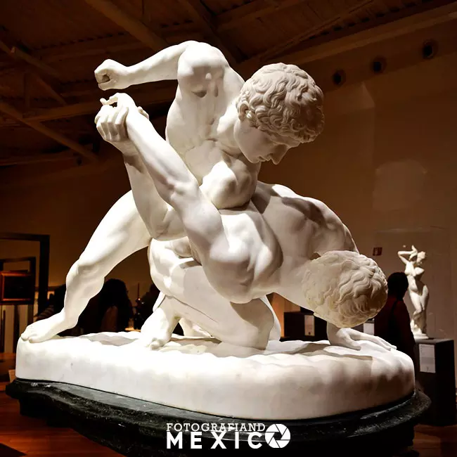 ¿Qué se exhibe en el Museo Soumaya?