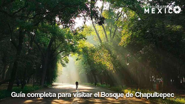 Guía completa para visitar el Bosque de Chapultepec