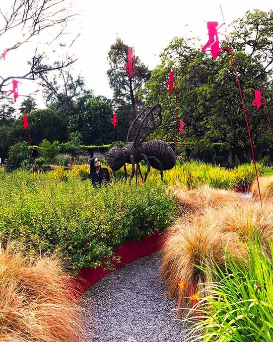 Jardín Botánico, creado en 1921 con el propósito de conservar y difundir la flora mexicana.