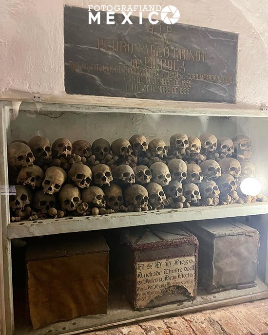 Catacumbas de la Catedral Metropolitana