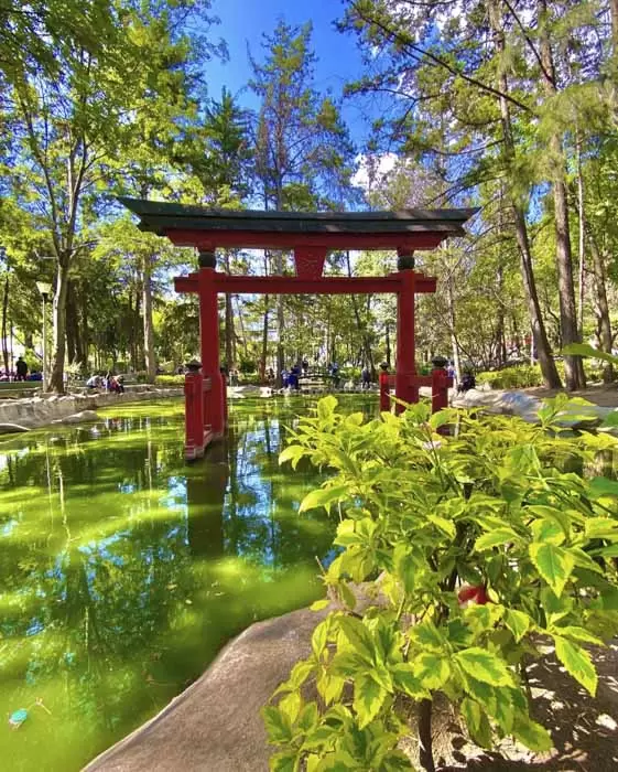 Parque Masayoshi Ohira: un viaje a Japón sin salir de CDMX
