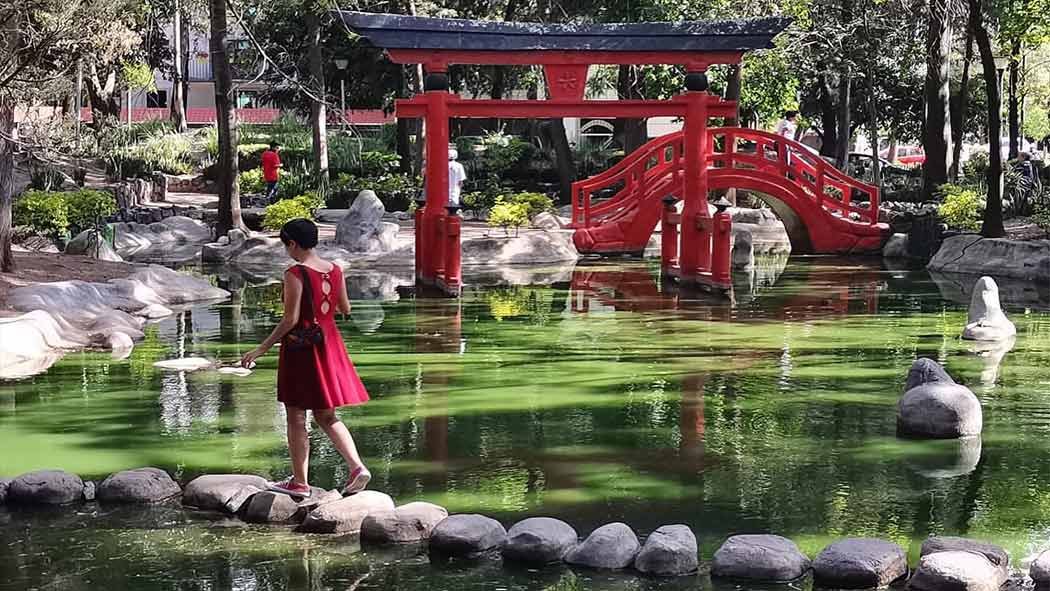Parque Masayoshi Ohira: un viaje a Japón sin salir de CDMX Parque Masayoshi Ohira: un viaje a Japón sin salir de CDMX