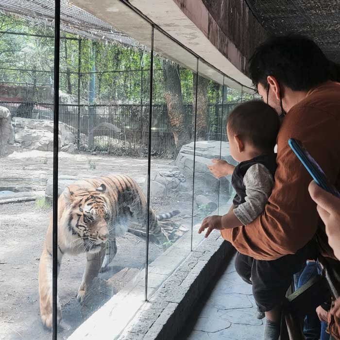 Zoológico de Chapultepec, refugio de animales en CDMX