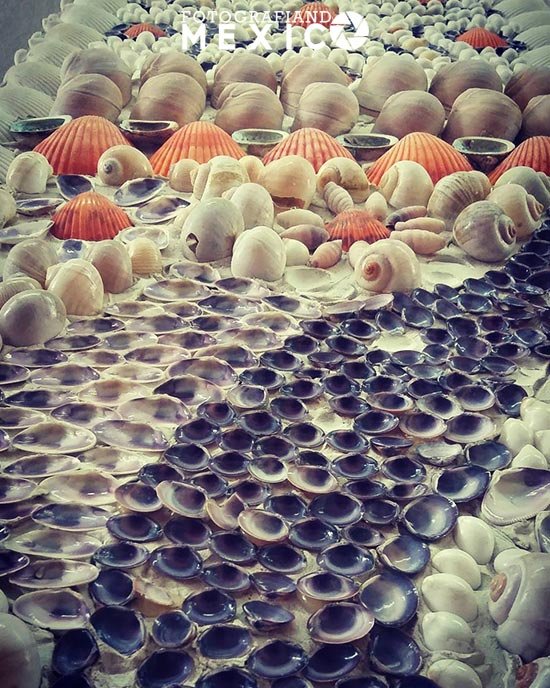 Museo de Conchas Mazatlán Museo de Conchas Mazatlán