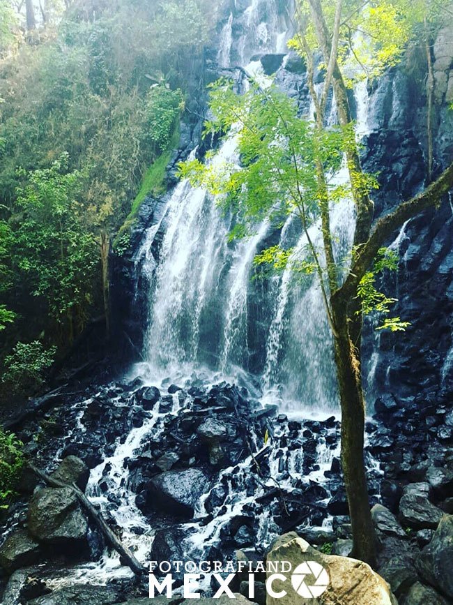 Fotografía vertical que muestra la base de una cascada cayendo sobre una alta muralla de rocas negras y escurriendo entre grandes piedras sueltas en el fondo del bosque.